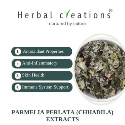 chhadila Extracts Supplier & Manufacturer
